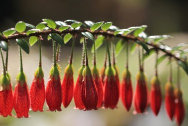东莞石排私人快速借钱网，轻松解决资金难题