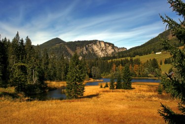 东莞石排民间私贷攻略：揭秘低成本借贷的秘密