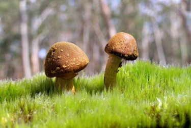 东莞石排私人老板放款：轻松融资的秘密通道